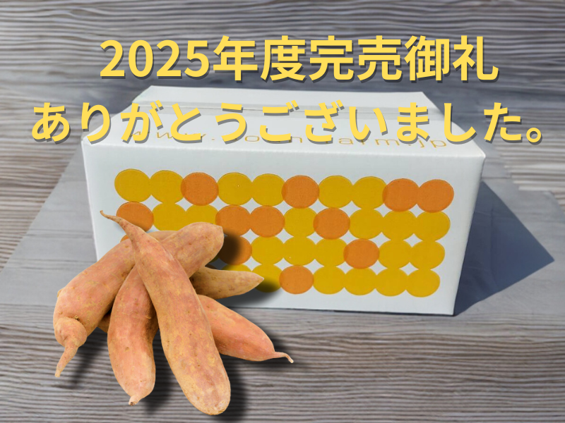 ※予約早割10％Off商品【特製石室貯蔵　しっとり甘い！早雲蜜芋】岡山県産　さつまいも3kg
