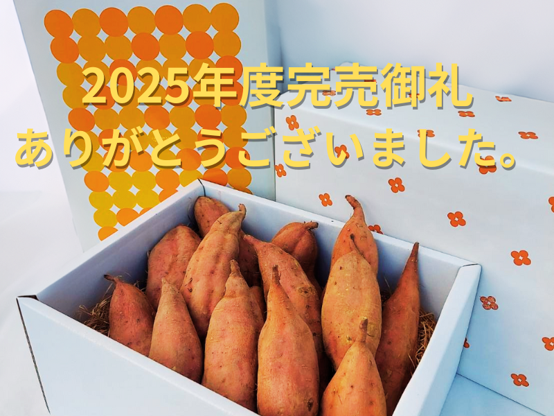 【ギフトセット】【特製石室貯蔵　しっとり甘い！早雲蜜芋】岡山県産　さつまいも3.5kg